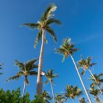 Laem Set Beach at Baan Fah Sai, a 4 bedroom private villa located in Samui Beach Village, Koh Samui, Suratthani, Thailand
